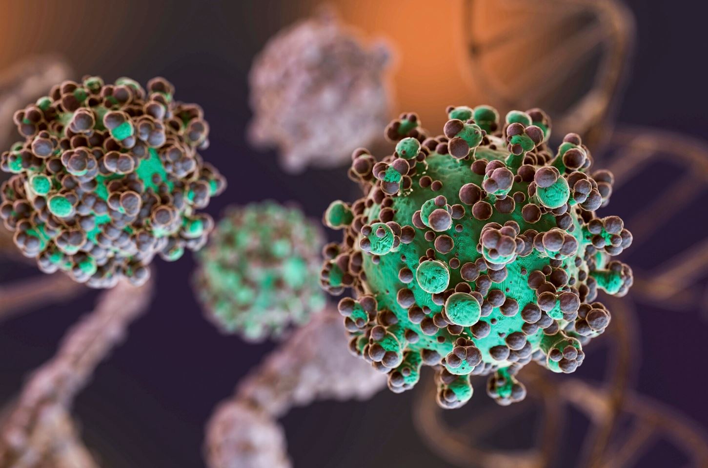HPV Virüsü Taraması